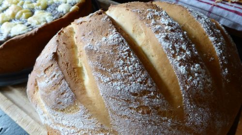 bread yeast bread dough