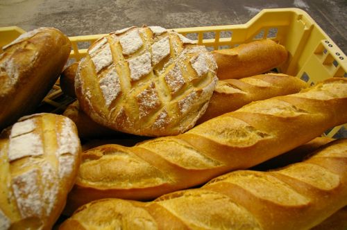 bread bakery costs