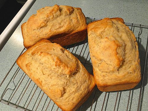 bread loaves homemade