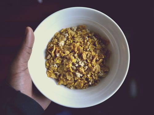 breakfast cereal bowl