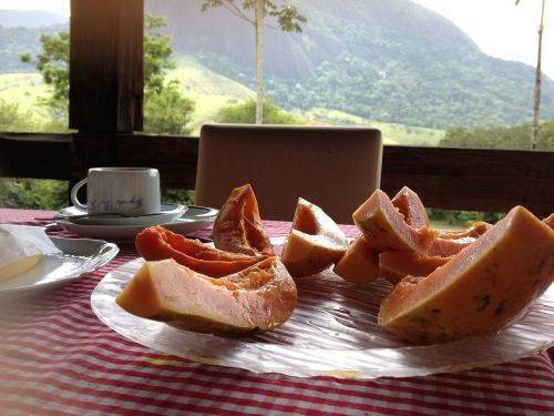 breakfast papaya futa