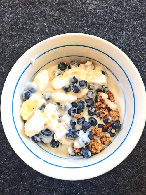 breakfast cereal blueberries