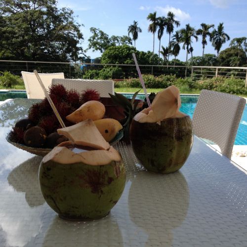 breakfast fruits coconuts