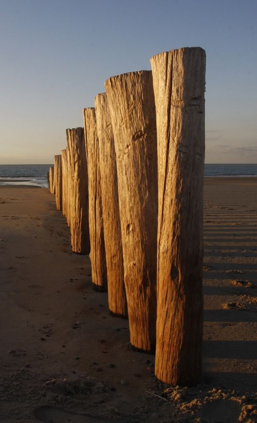 breakwater beach north sea