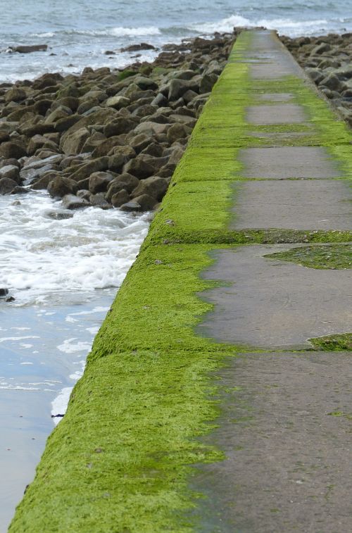 breakwater beach sea