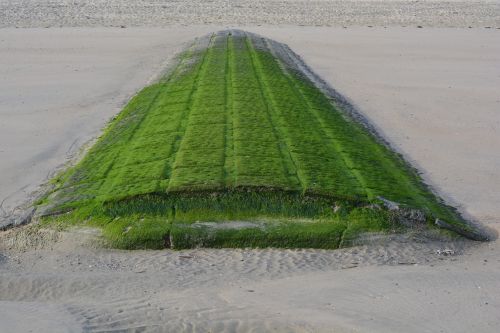 breakwater beach green