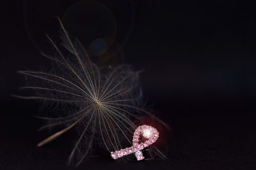 breast cancer pink dandelion