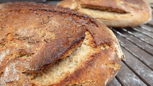 bred bread leavened