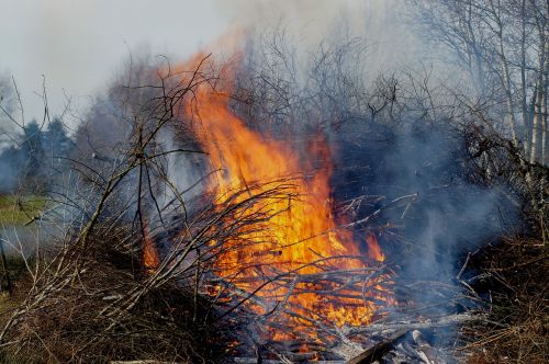 brenntag east frisia smoke