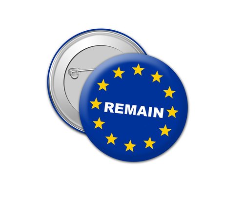 brexit  europe  referendum