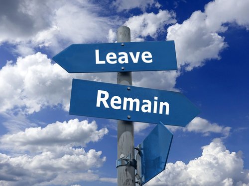 brexit  leave  remain
