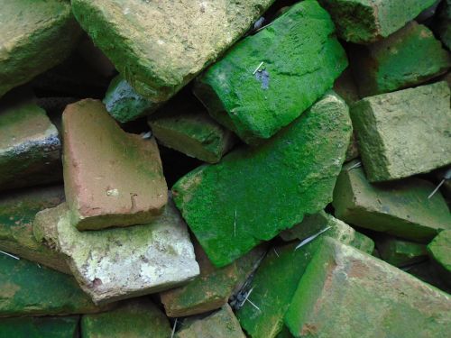 brick pile of bricks moss