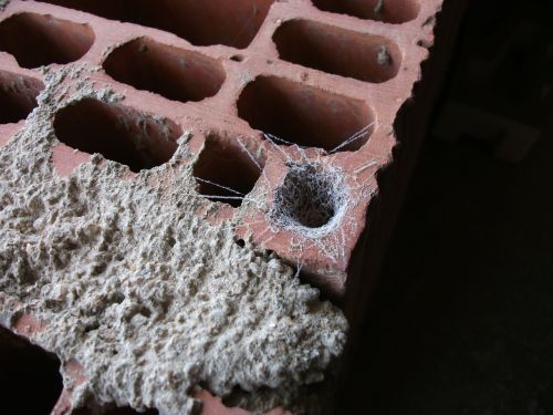 brick web construction