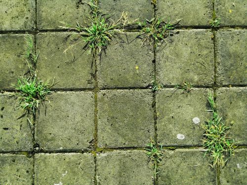 brick ground grass