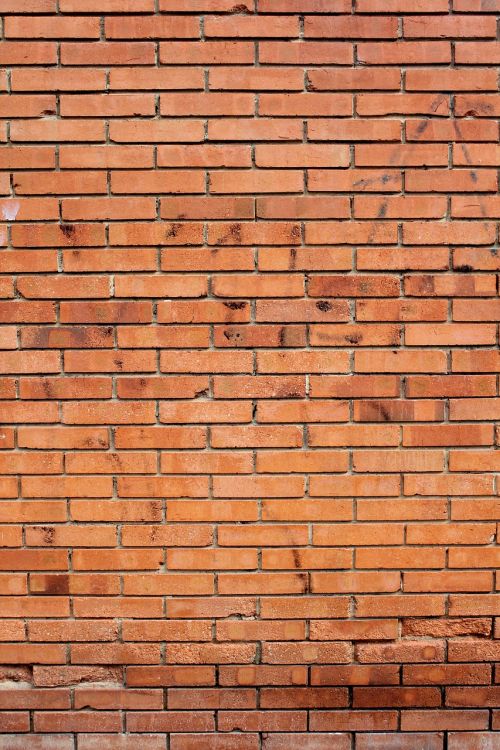 brick wall brick wall
