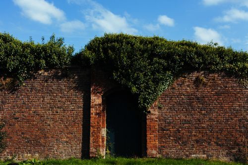 brick wall green