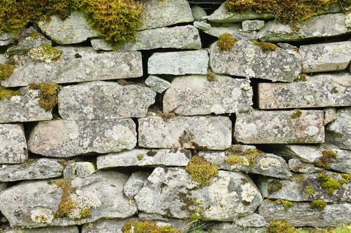 brick wall  stone  brick