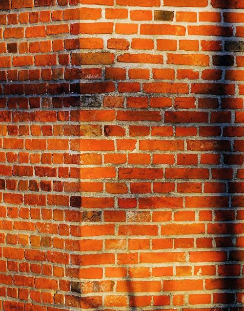 brick wall wall bricks