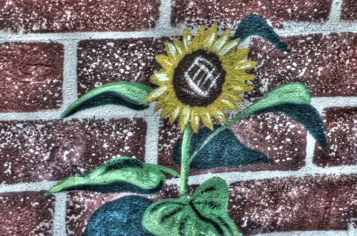 Brick Wall Sunflower Background