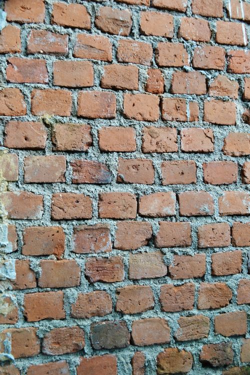 bricks texture wall