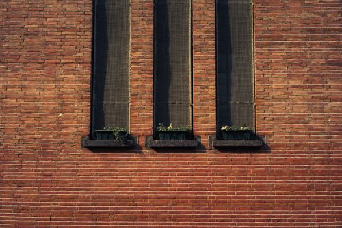 bricks wall brickwork