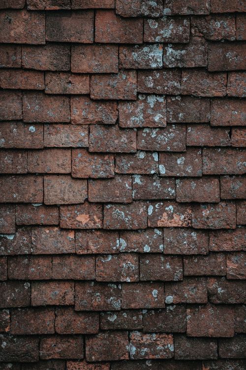 bricks wall brickwork