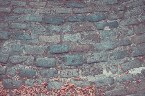 bricks wall leaves