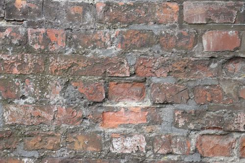 bricks wall brick wall