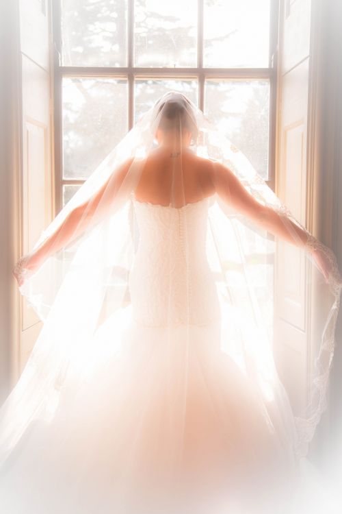 bridal wedding dress window