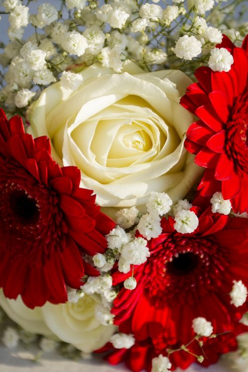 bridal bridal bouquet rose