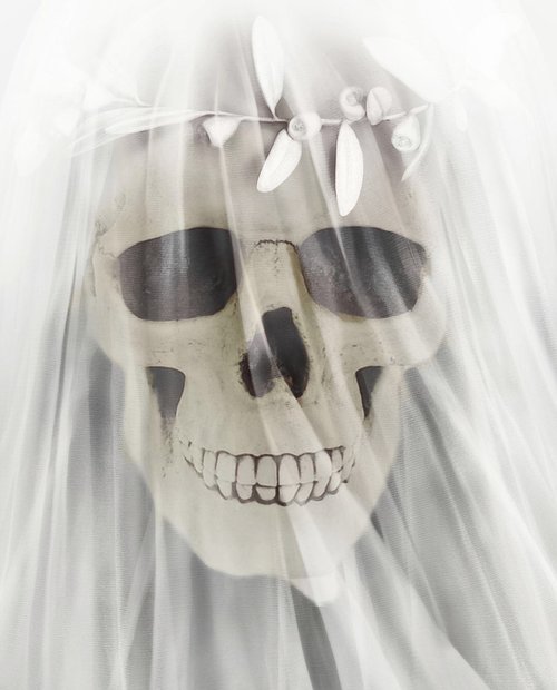 bride  skull  skeleton