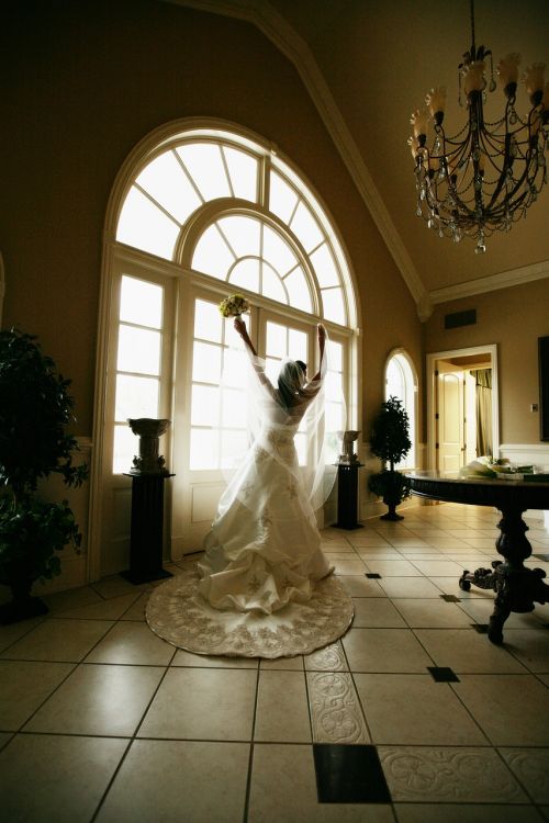 bride joyful bridal gown