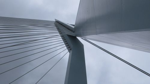 bridge rotterdam bridges