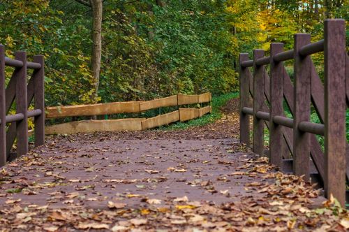 bridge autumn leaves