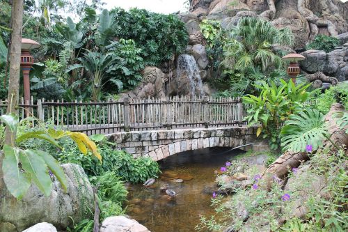 bridge waterfall nature