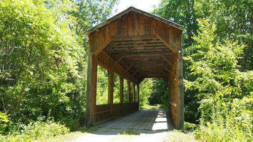 bridge wood forest