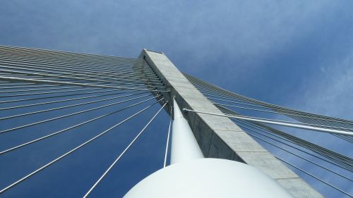 bridge suspension bridge shrouds