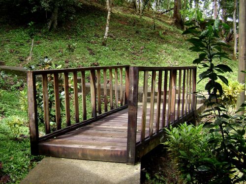 bridge wood nature