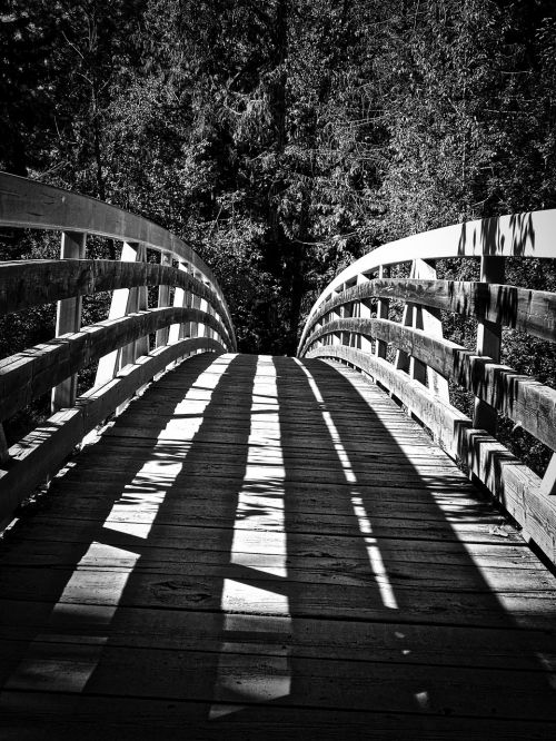 bridge crossing wooden