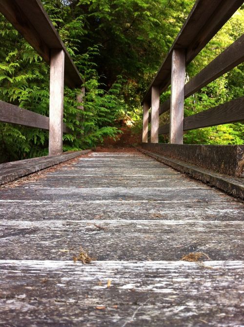 bridge path green