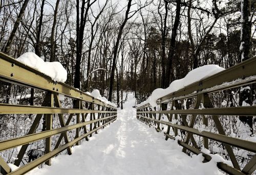 bridge snow trees