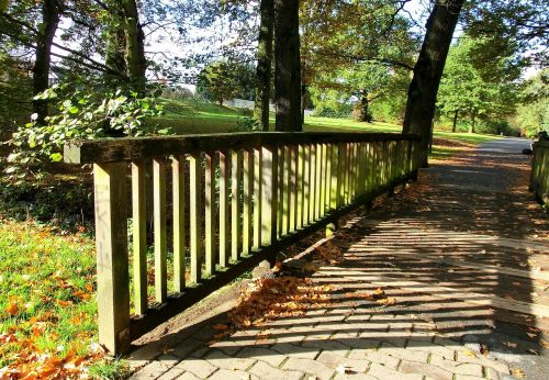 bridge forest nature