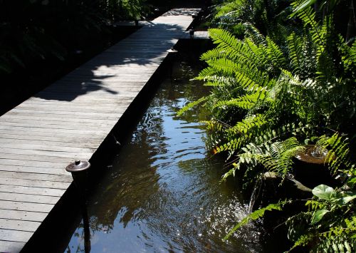 bridge walkway nature