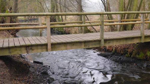 bridge river nature