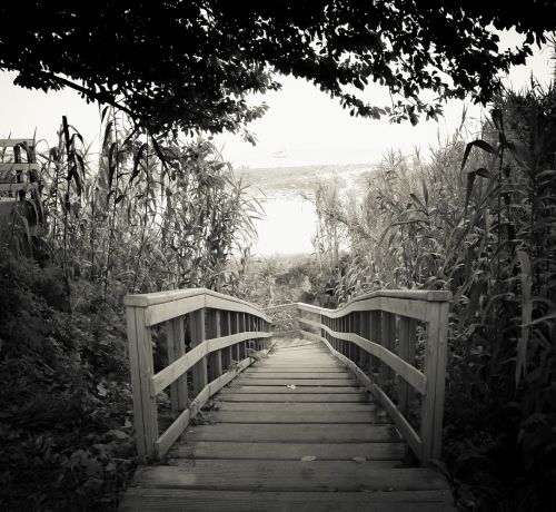 bridge life black and white