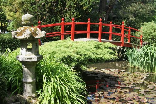 bridge japan japanese garden