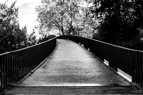 bridge black and white black white