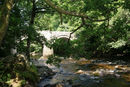 bridge trees river