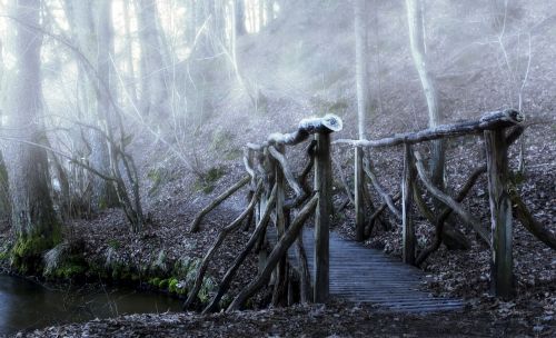 bridge color the fog