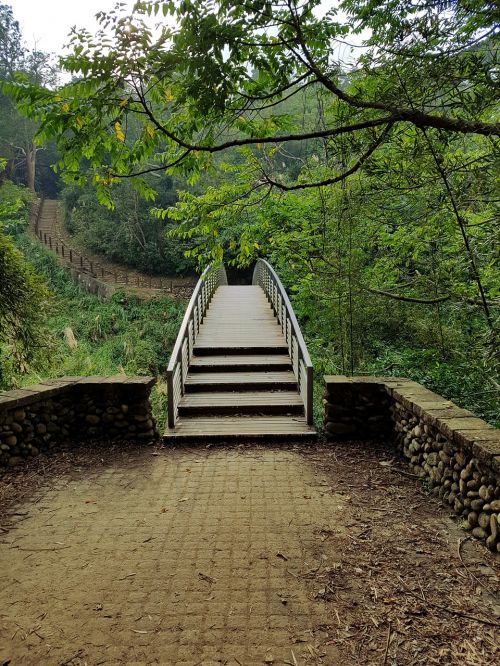 bridge forest path
